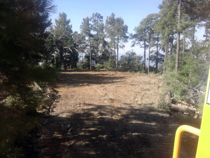 My PRESCOTT FOREST PROPERTY for SALE BY OWNER